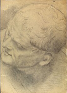 Sketch of a Male Head Seen from Above
